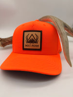 NR Logo | Blaze Curve