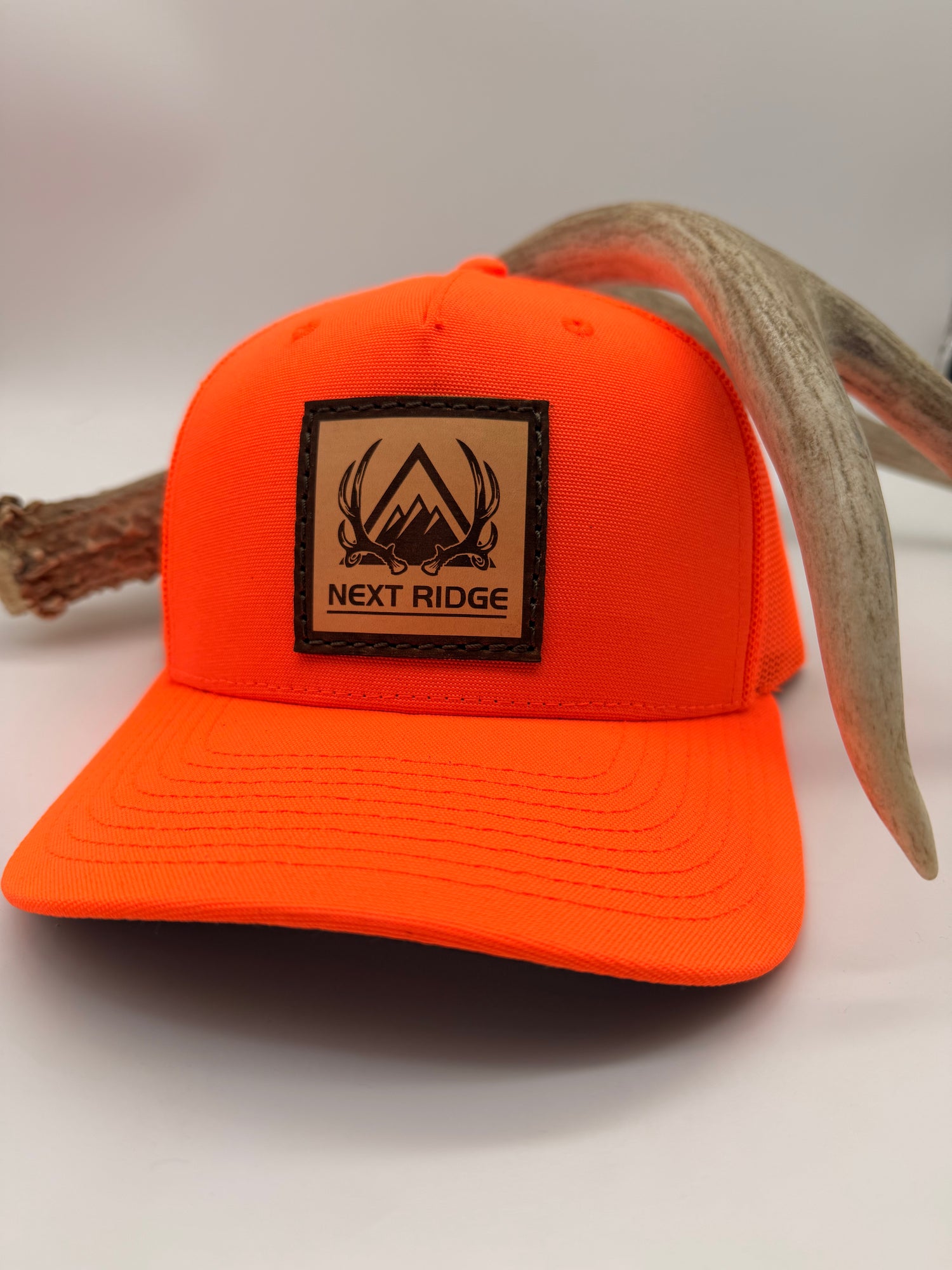 NR Logo | Blaze Curve