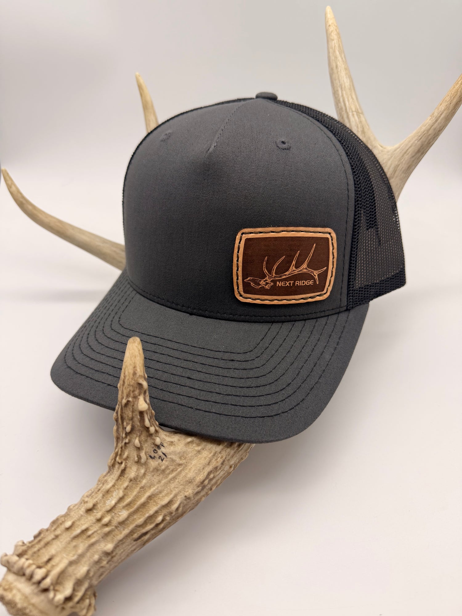 Elk Euro | Gray & Black Curve