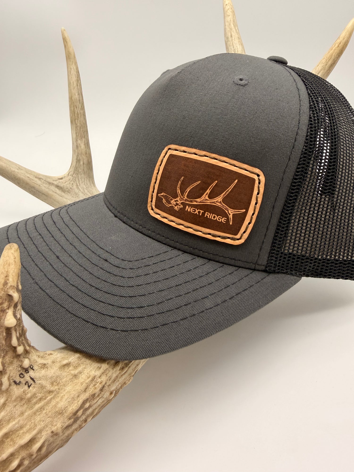 Elk Euro | Gray & Black Curve